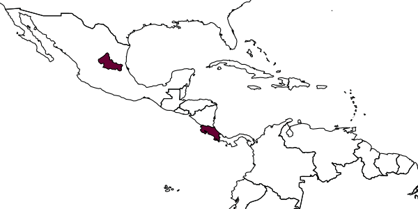 map of Blepyrus hansoni     Noyes, 2000